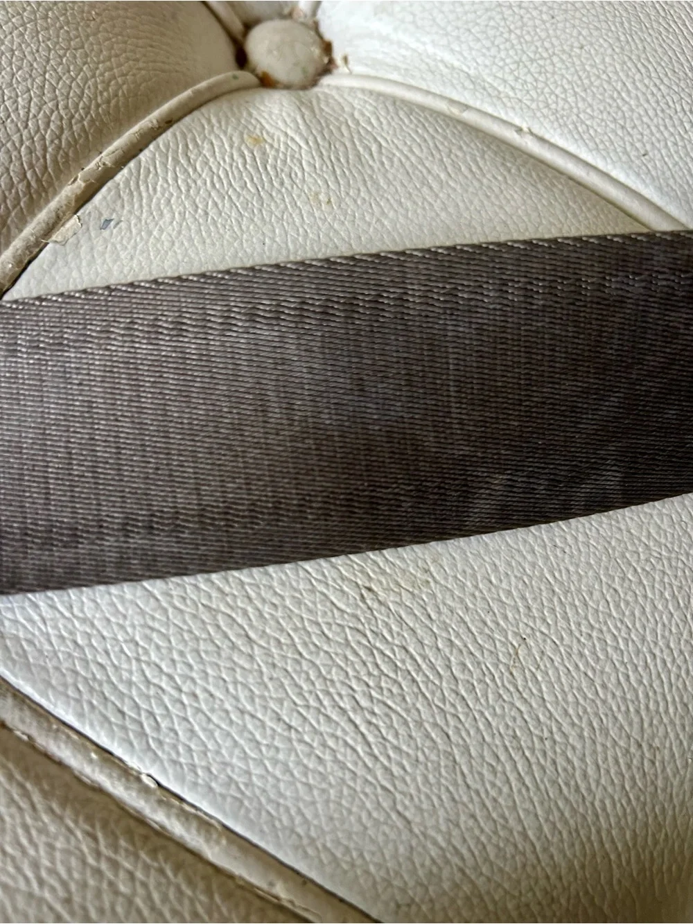 Quince Taupe Pebbled Leather Crossbody Belt Bag - Picture 3 of 6